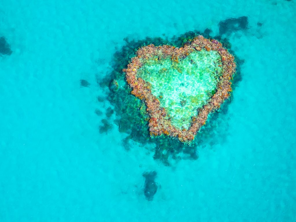 Кораловият риф Сърце е любимо място на романтичните души. 
